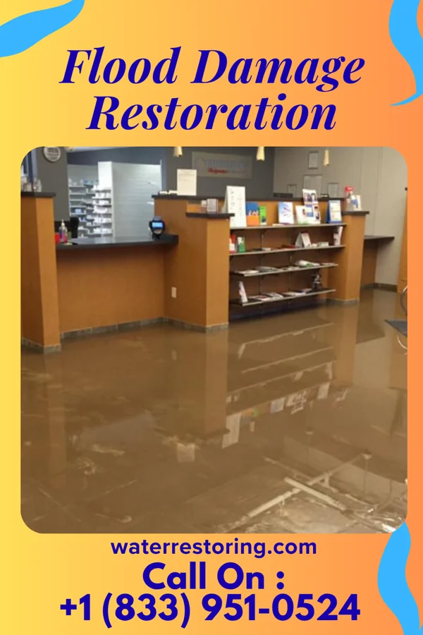 Flood Damage Restoration in Centerville, SC