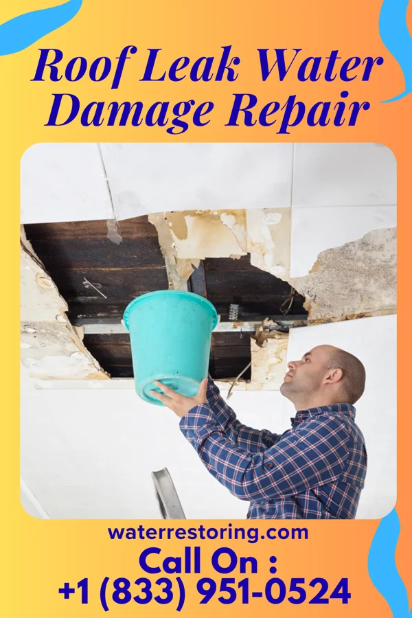 Roof Leak Water Damage Repair in Centerville, SC