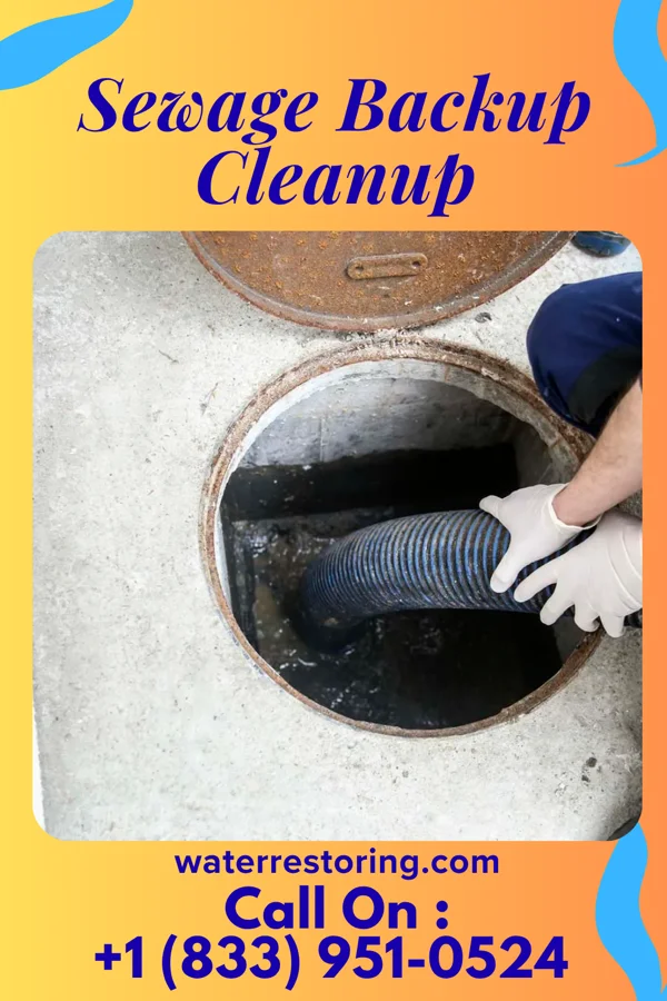 Sewage Backup Cleanup in Centerville, SC